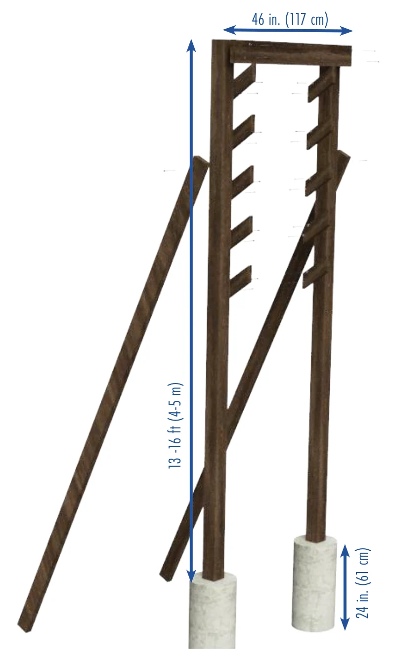 Salmon Ladder drawing excerpt